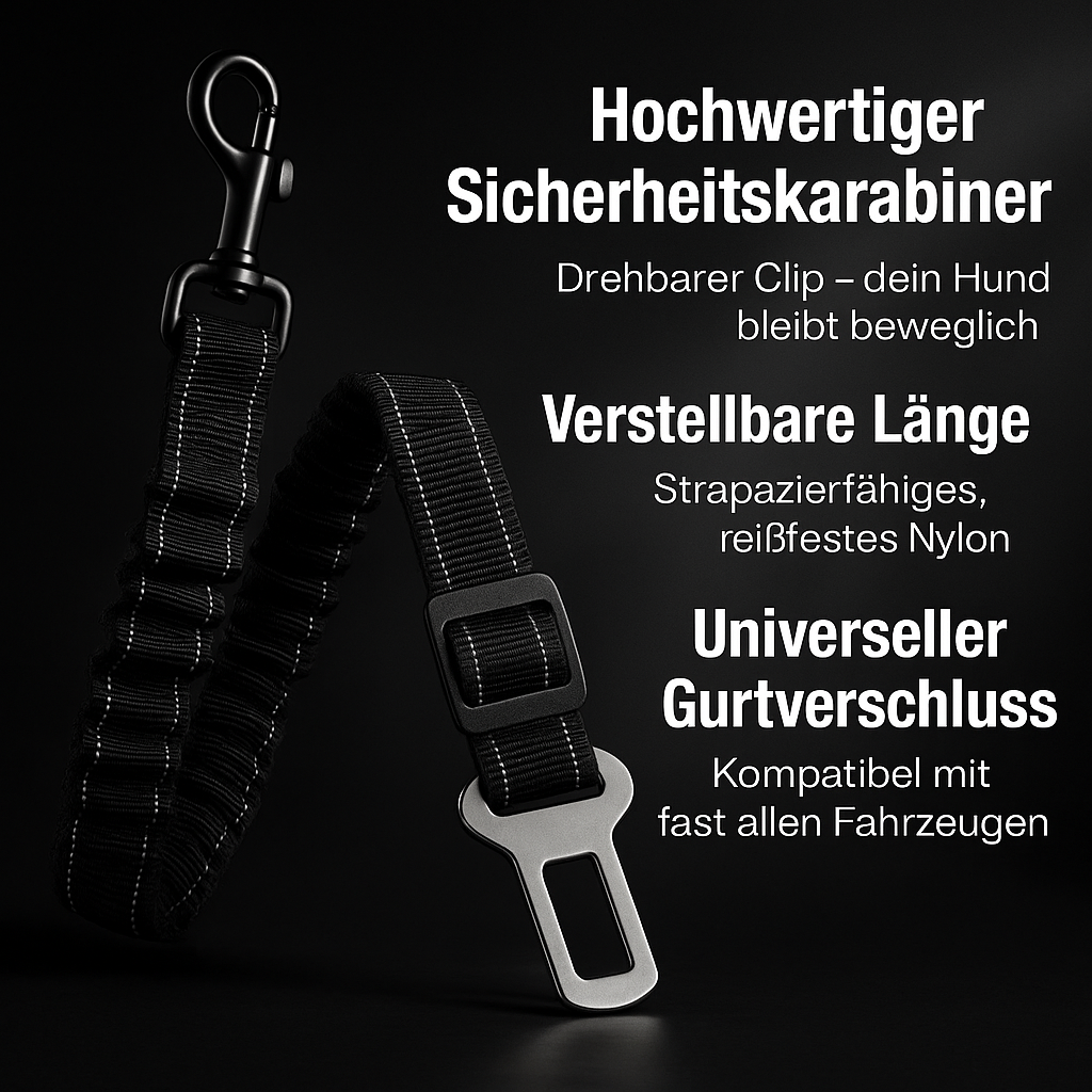 Sicherheitsgurt für Hunde – verstellbar & reflektierend